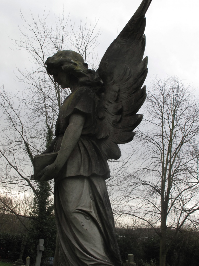 The Angel of Ipsley by daffodill