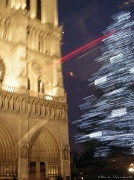 4th Jan 2012 - Notre Dame de Paris and its Christmas tree