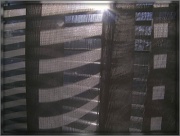 4th Jan 2012 - Window