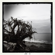 1st Jan 2012 - Salish Sea