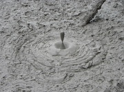 19th Dec 2011 - Mud Pool Blop