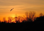 6th Jan 2012 - sunrise 