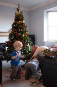 10th Dec 2011 - Christmas Tree