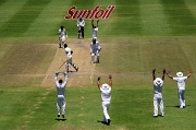 6th Jan 2012 - Please Mr Umpire, we want to go home