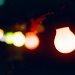 Lights along the river by manek43509