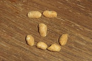5th Jan 2012 - Rob's Nuts