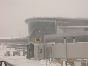 7th Jan 2010 - Indianapolis Airport