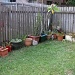 Garden Clean-Up! by mozette