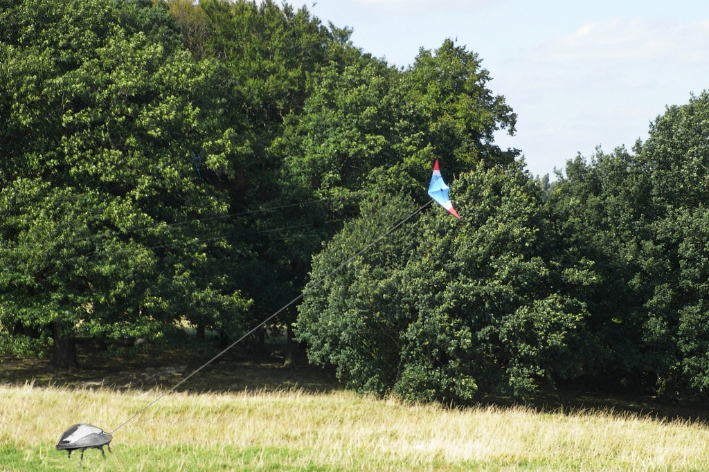 Silver beetle kite flying by sabresun