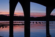 6th Jan 2012 - Under the Bridge at Dawn