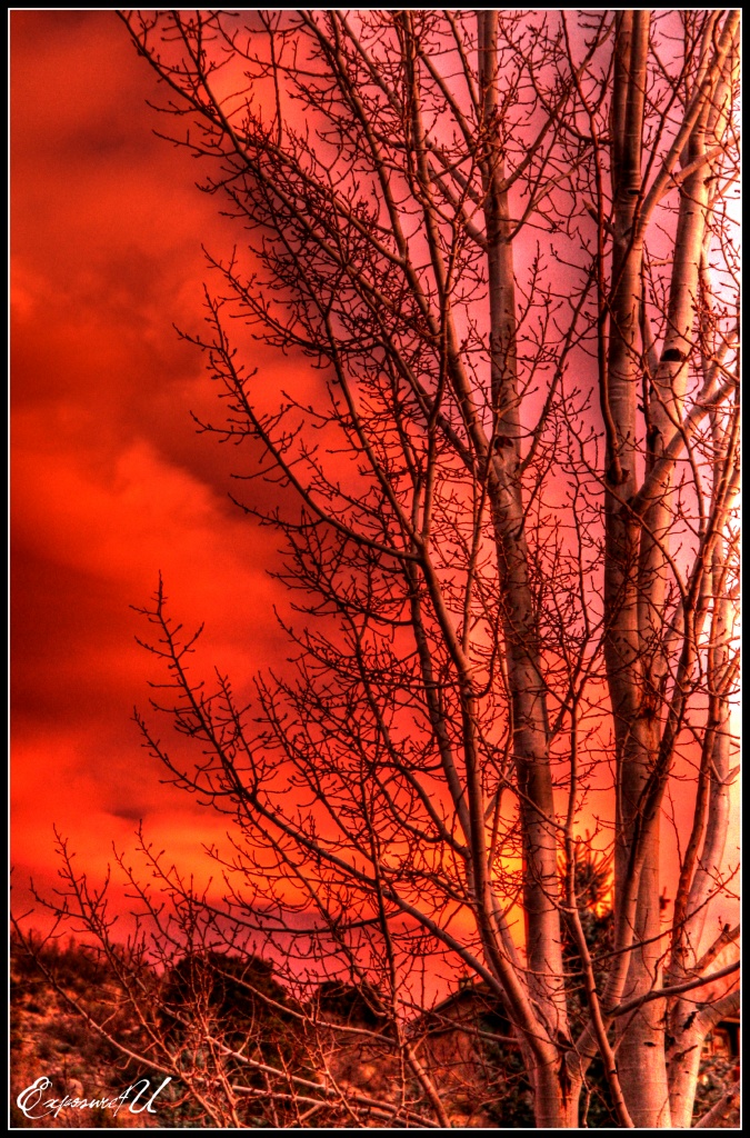 Fiery Sunrise by exposure4u