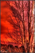 6th Jan 2012 - Fiery Sunrise