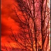 Fiery Sunrise by exposure4u