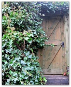7th Jan 2012 - Secret door.