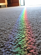 22nd May 2010 - Carpet Rainbow