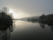 7th Jan 2012 - One Misty, Moisty Morning..........