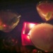 Martini Blur by kerosene