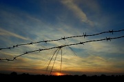 21st May 2010 - Horse Hair and Wire at Sunset