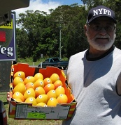 3rd Jan 2012 - Mangoes from North Queensland