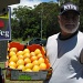 Mangoes from North Queensland by loey5150