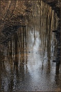 8th Jan 2012 - Reflections