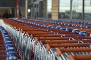 8th Jan 2012 - Shopping trolleys!