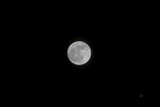 8th Jan 2012 - moon...