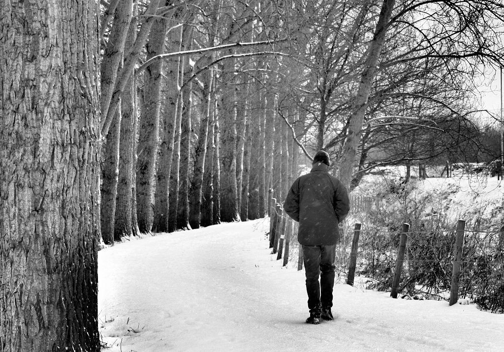 Walking in a winter wonderland ... by edpartridge