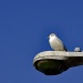 Bird's eye view by ggshearron