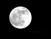 8th Jan 2012 - First Crazy Moon