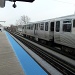 Standing Around on the CTA by grozanc