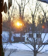 9th Jan 2012 - Sunburst