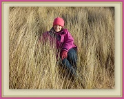 9th Jan 2012 - In the dunes at Sands of Forvie