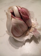 21st May 2010 - Garlic