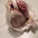 Garlic by manek43509