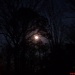 Moon Shadows by lizzybean