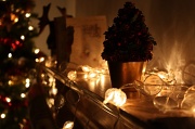 13th Dec 2011 - Christmas Lights
