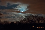9th Jan 2012 - Bark at the moon