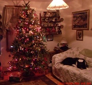 6th Jan 2012 - Little Christmas