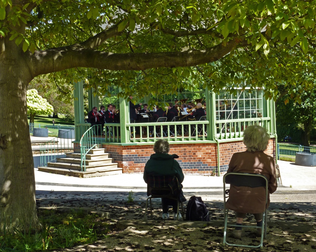 Back Fill 3 : A shady spot in Nottingham Arboretum   by phil_howcroft
