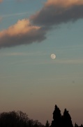 6th Jan 2012 - Moody moon.