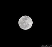 9th Jan 2012 - Moon, 1/9/2012