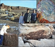 5th Jan 2012 - petrified forest 