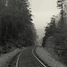 Tracks from Yuma  by calm
