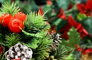 6th Jan 2012 - The Twelfth Day of Christmas