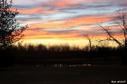 7th Jan 2012 - Sunrise