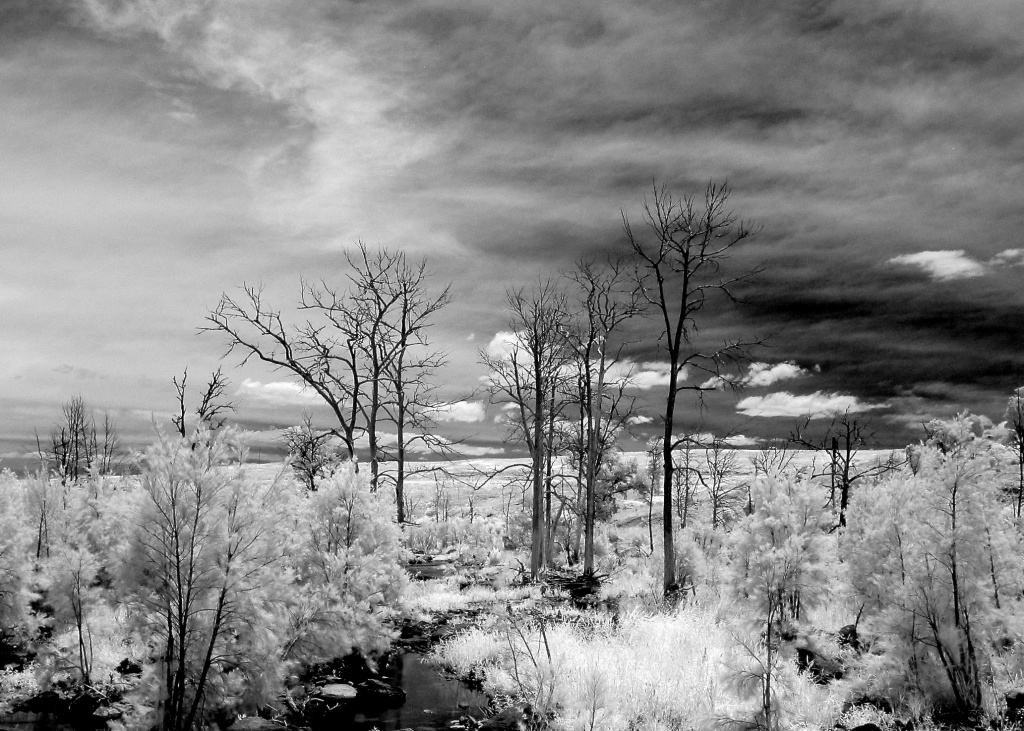 playing with my new toy, my IR converted camera by lbmcshutter