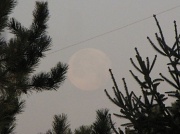 10th Jan 2012 - Early Morning Moon