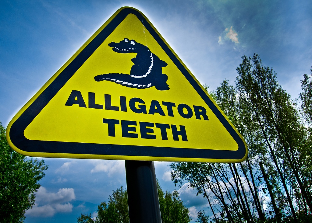 Alligator teeth by vikdaddy