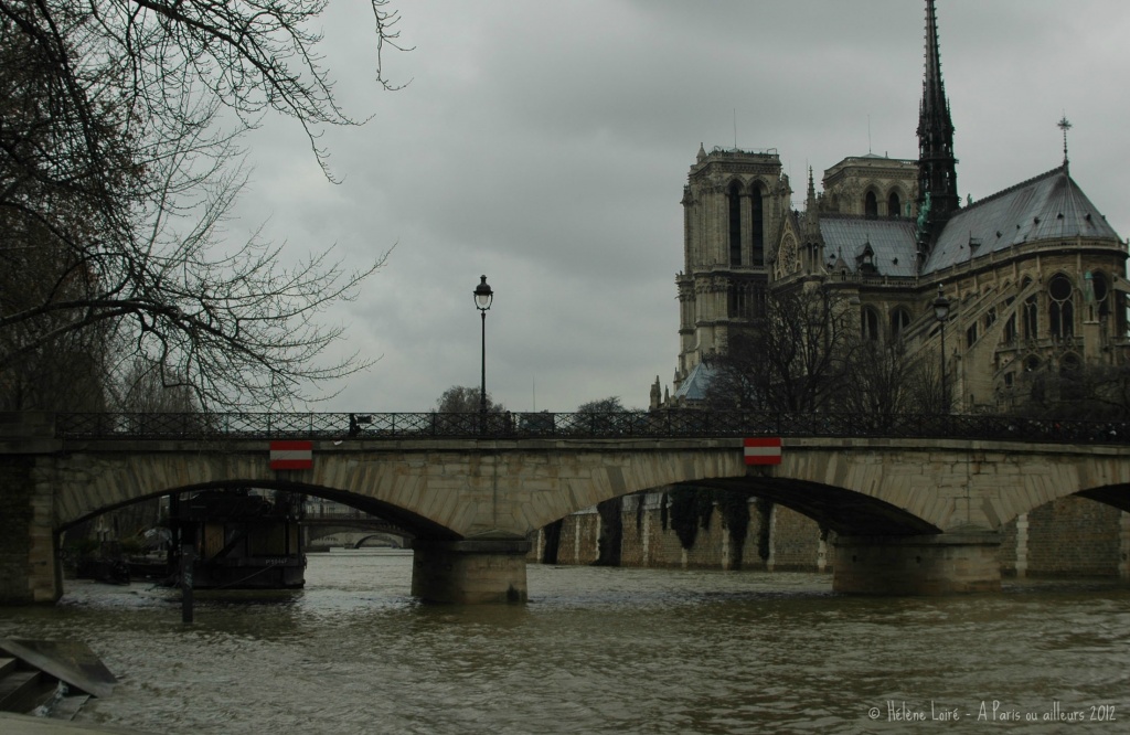 The Seine is getting higher by parisouailleurs